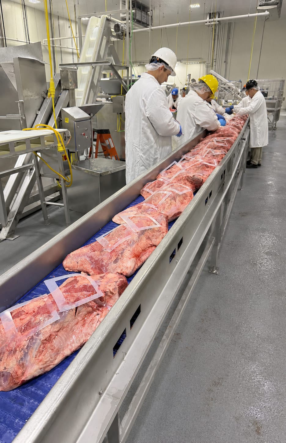 A Lumina engineer in a lab coat, hard hat, and hair net standing at a meat processing line, working alongside the plant crew as trimmed beef moves past on a blue conveyor belt that runs the length of the room.