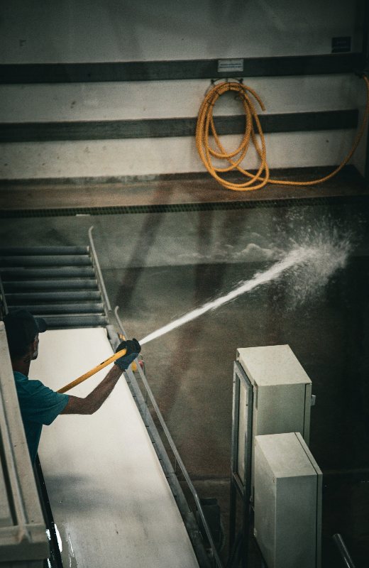 A worker hosing down a conveyor during sanitation, seen from behind